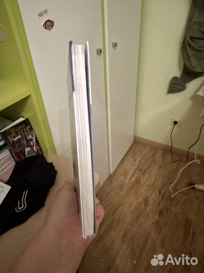 Книга по рускому языку 9 класс