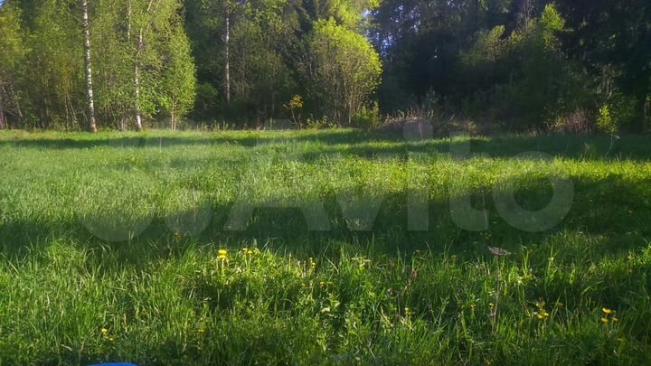 Участок 30 сот. (ИЖС)