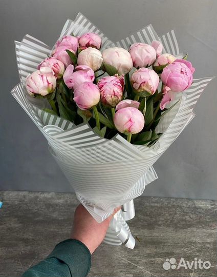 Цветы пионы Розы Букеты 51 101 Роза