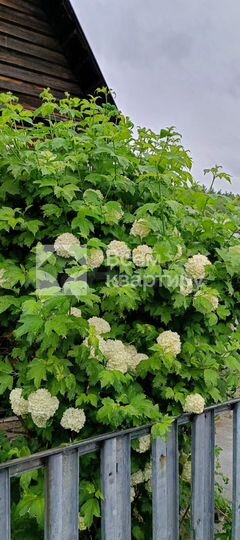 Дом 50 м² на участке 4 сот.