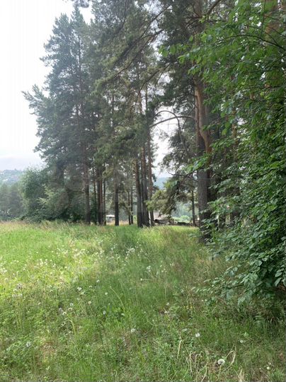 Участок 24 сот. (ИЖС)