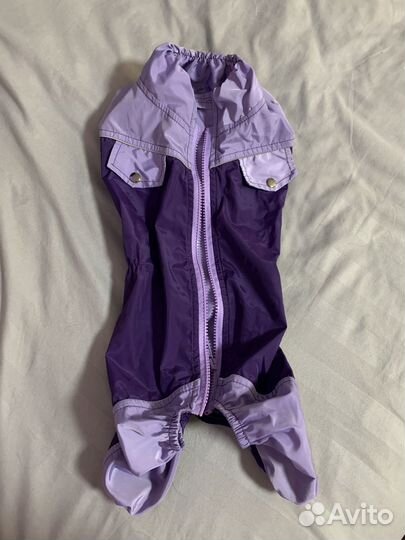 Костюм для собак