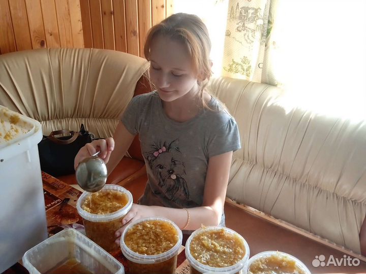 Забрус медовый