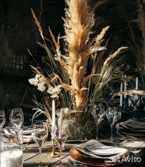 Картадерия