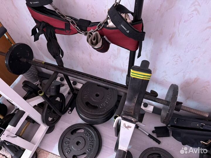 Штанга и гантели