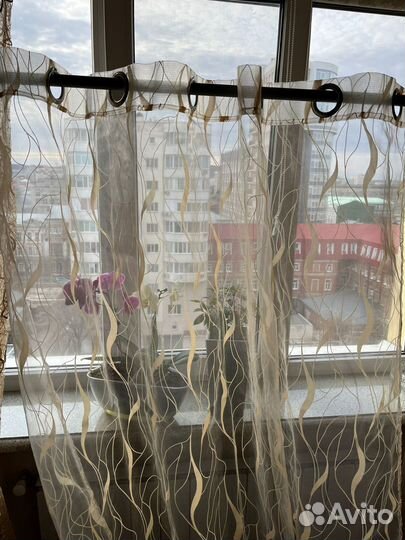 Тюль на люверсах беж 140 - 270 комплект из 2 шт