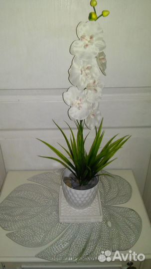 Подарок Декор Цветы Украшение Интерьера Витрин