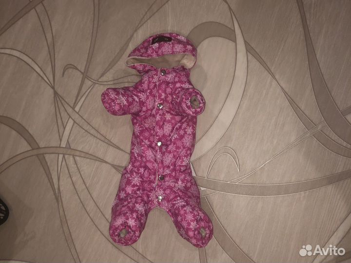 Одежда для маленьких пород собак