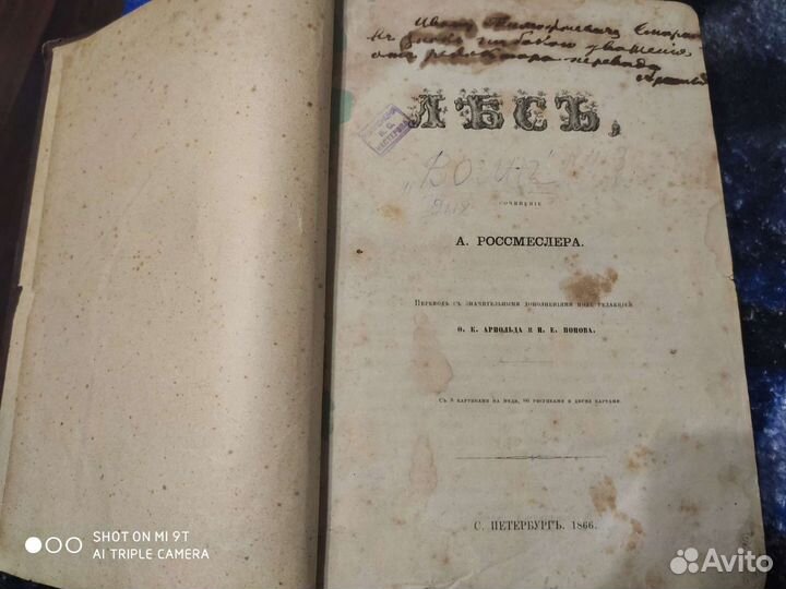 Лесъ сочинение А.Россмеслера 1866г