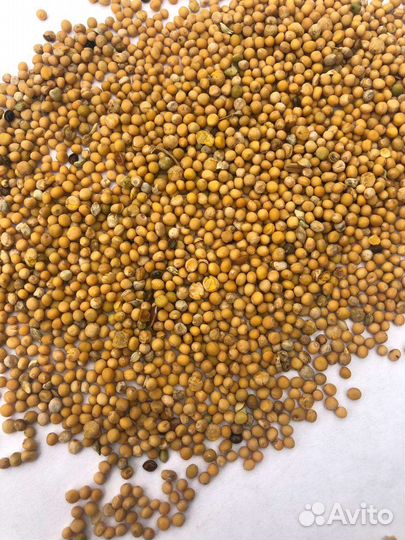 Горчица жёлтая фасованная 1кг. От производителя