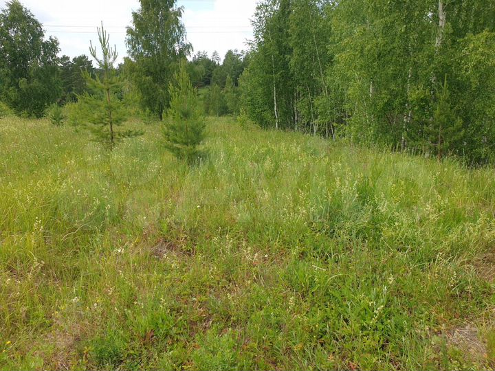 Участок 4 сот. (ИЖС)