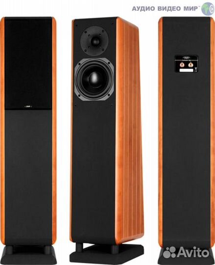 Chario Constellation Pegasus mkII акустика