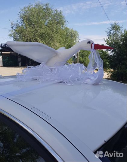 Аист на выписку на автомобиль