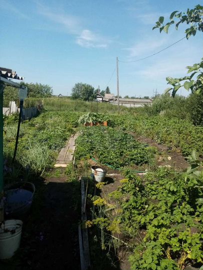 Дача 10 м² на участке 8 сот.