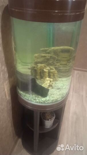 Аквариум jetwin