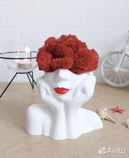 Кашпо со мхом