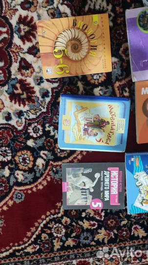 Школьные книги