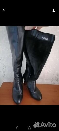 Сапоги женские