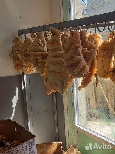 Баранина курдюк