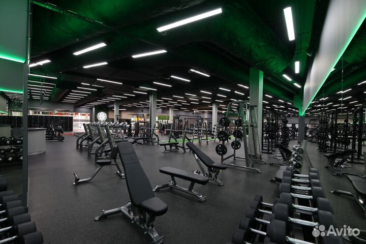 Аренда зала единоборств