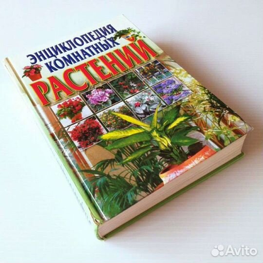 Энциклопедия комнатных растений. С. Быховец