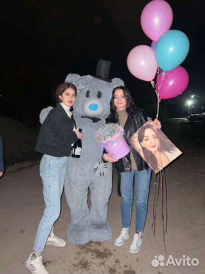 Мишка тедди