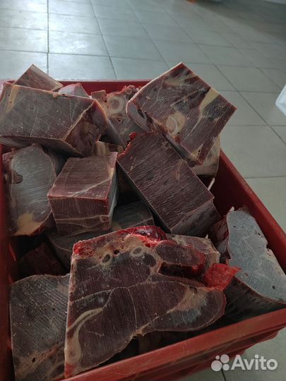 Продам мясо конина