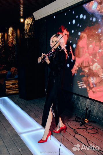 Скрипка на праздник