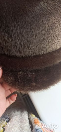 Мужская шапка нутрия