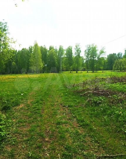 Участок 8 сот. (ИЖС)