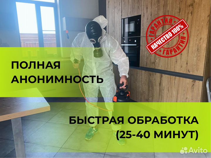 Дезинфекция. Уничтожение клопов, тараканов, блох