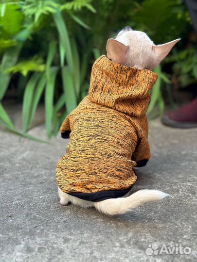 Футболка для собак