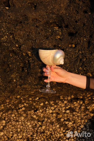 Аренда бокалов