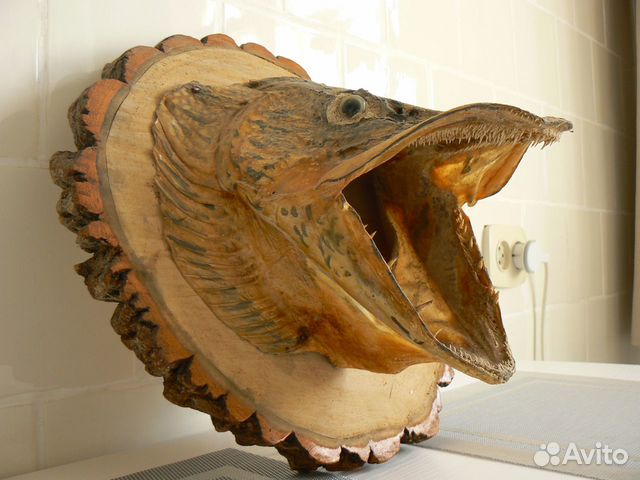 Чучело щуки