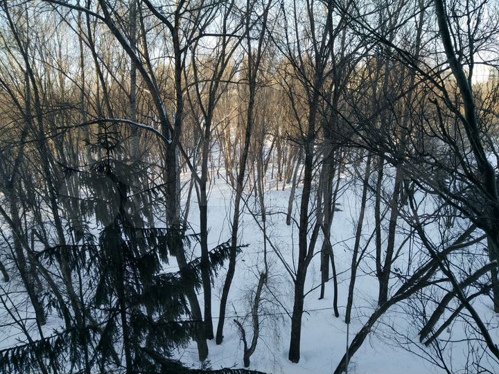 3-к. квартира, 60,6 м², 5/9 эт.