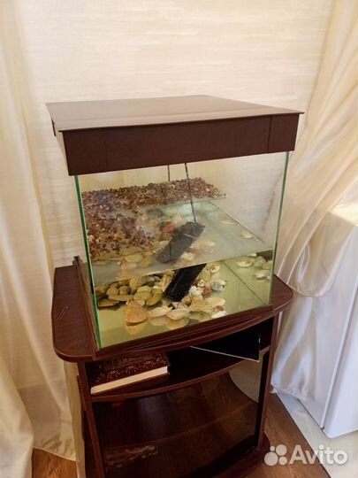 Аквариум для черепах