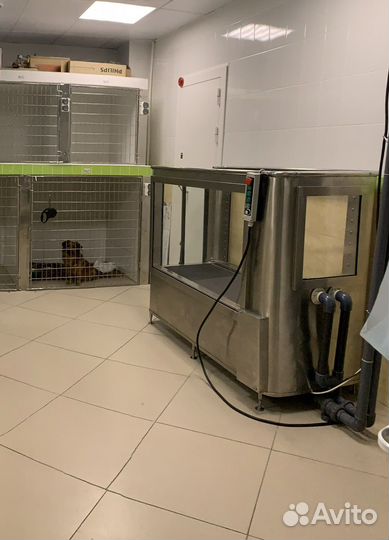 Водная беговая дорожка