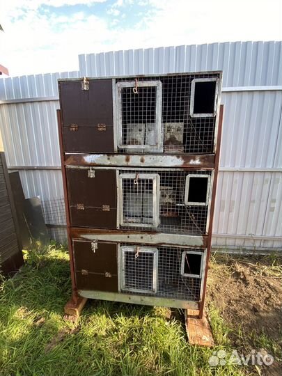 Клетки для кроликов