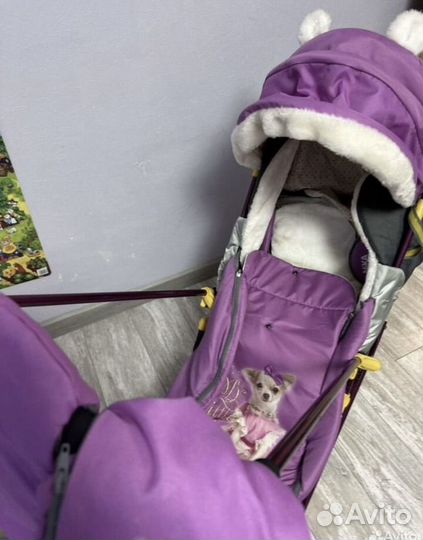 Санки коляска ника