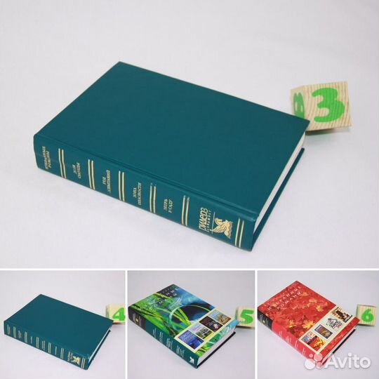 Сторож. Жена Седельного мастера