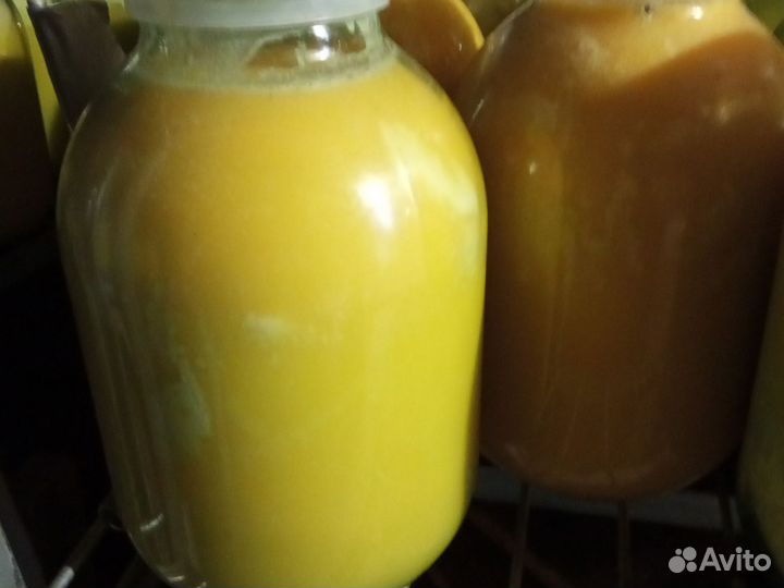 За 3 литровую банку. Мед из подсолнечника