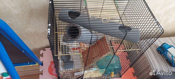 Клетка для грызунов бу