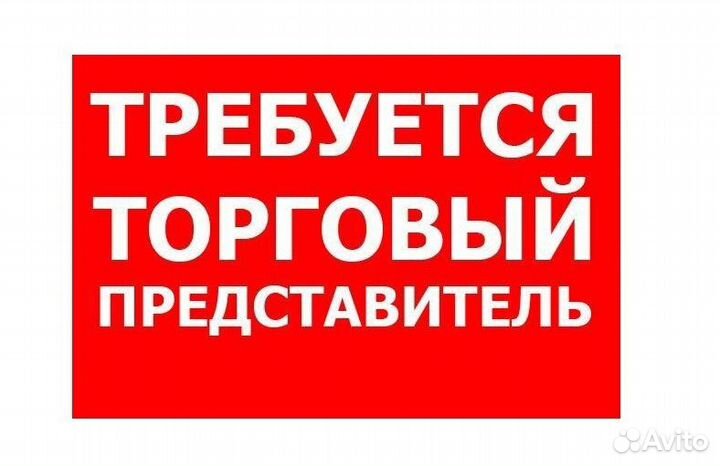 Торговый представитель на авто