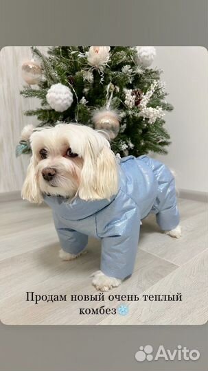 Комбинезон для собаки