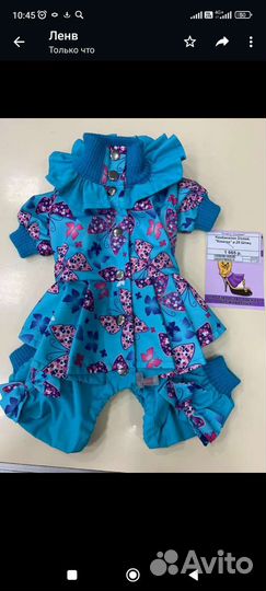 Дождевик для шпица, размер от головы до спины 25