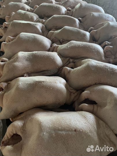 Халяль Мясо гуся и утки, оптом и в розницу