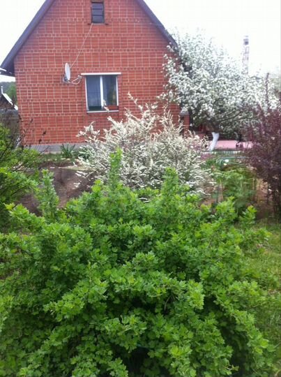 Дом 55,8 м² на участке 12,8 сот.