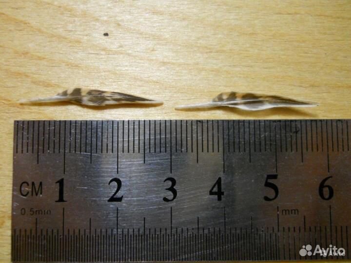 Перо для написания картин