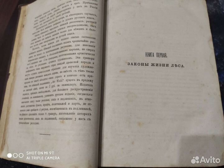 Лесъ сочинение А.Россмеслера 1866г