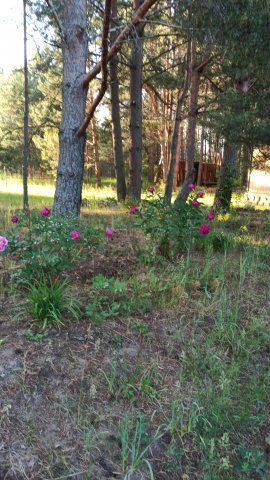 2-к. квартира, 53 м², 2/2 эт.